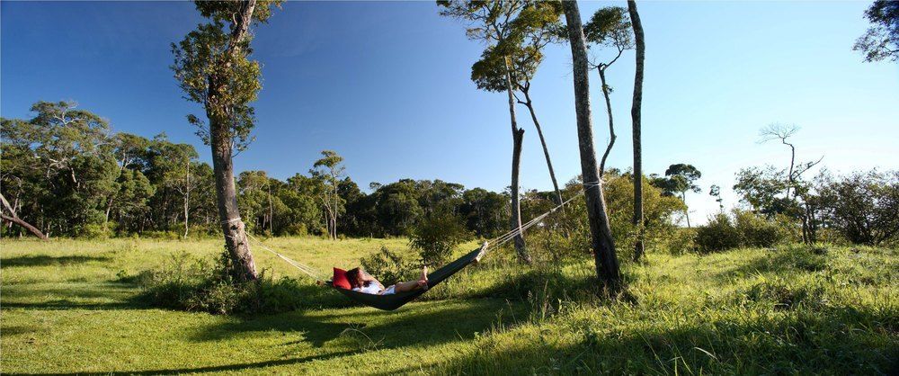 Elephant Pepper Camp Maasai Mara Bagian luar foto