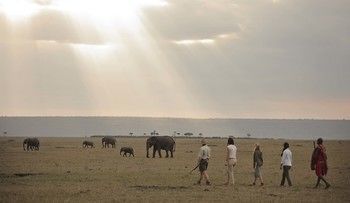 Elephant Pepper Camp Maasai Mara Bagian luar foto
